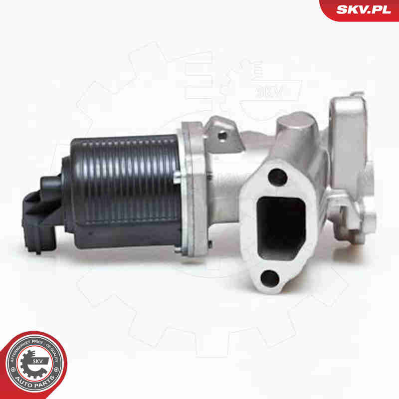 Valvola ricircolo gas scarico-EGR - 14SKV040 ESEN SKV