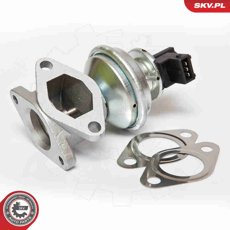 Valvola ricircolo gas scarico-EGR - 14SKV050 ESEN SKV