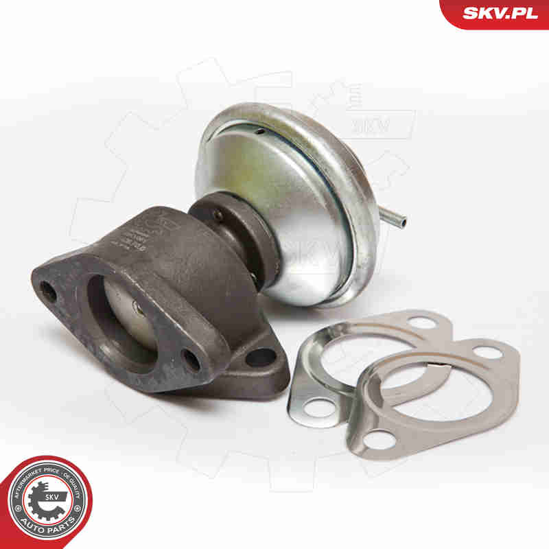 Valvola ricircolo gas scarico-EGR - 14SKV051 ESEN SKV