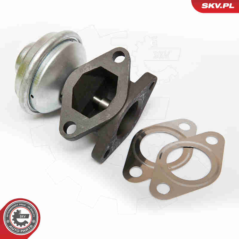 Valvola ricircolo gas scarico-EGR - 14SKV052 ESEN SKV
