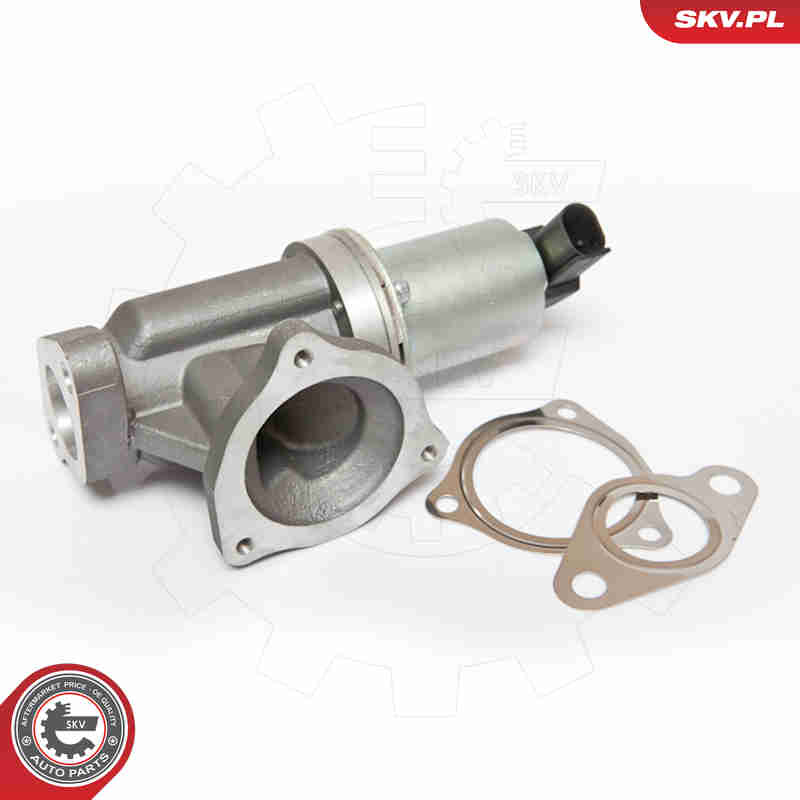 Клапан возврата ОГ - 14SKV054 ESEN SKV