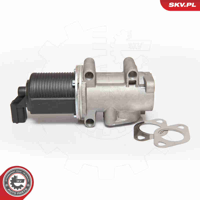 EGR Valve - 14SKV055 ESEN SKV
