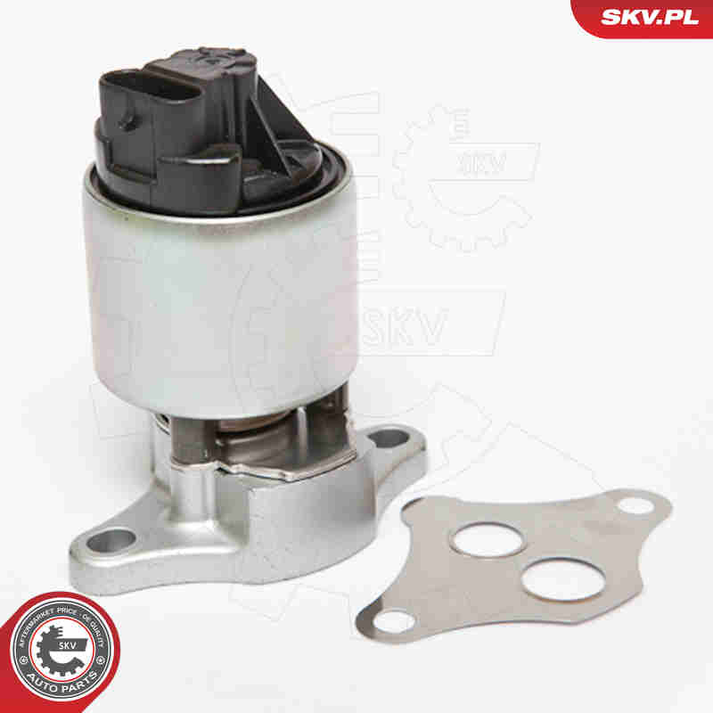 EGR Valve - 14SKV056 ESEN SKV