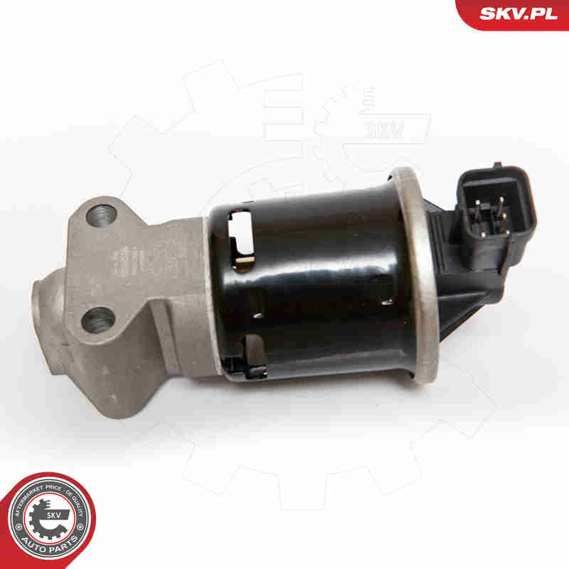 EGR Valve - 14SKV059 ESEN SKV