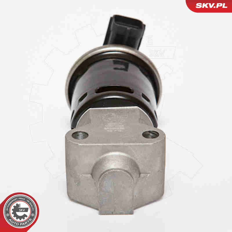 EGR Valve - 14SKV059 ESEN SKV