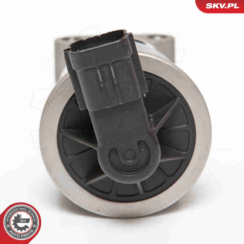 EGR Valve - 14SKV059 ESEN SKV