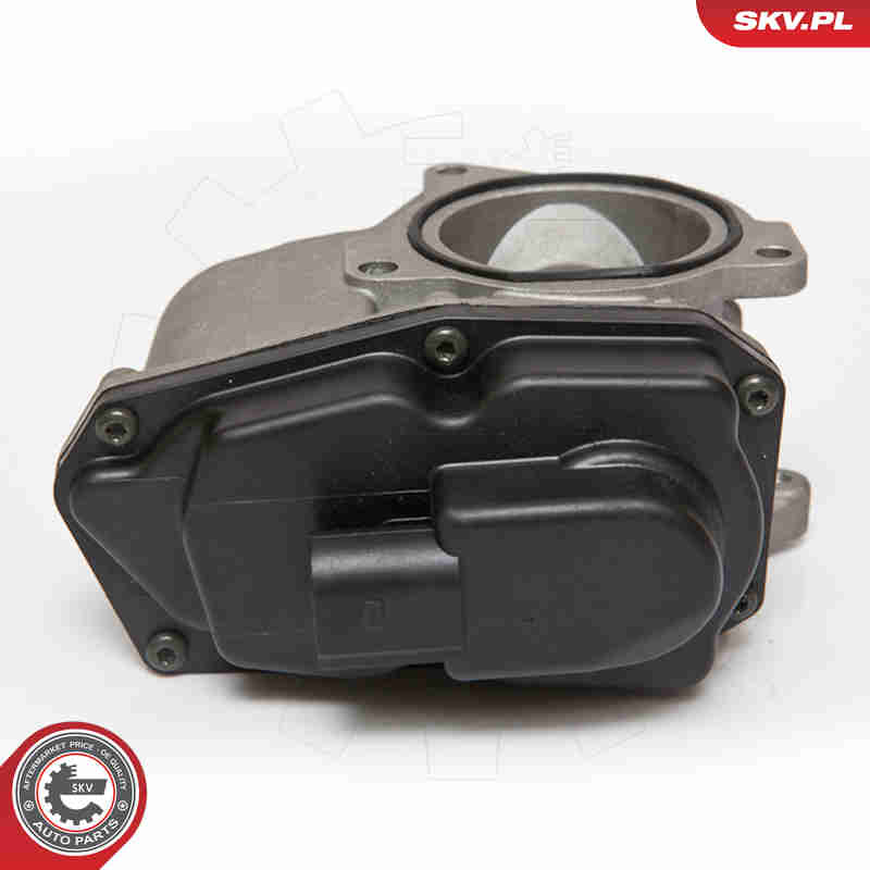EGR Valve - 14SKV061 ESEN SKV