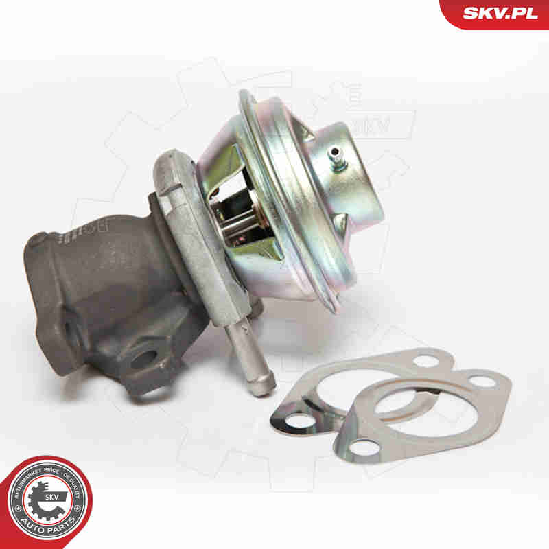 Valvola ricircolo gas scarico-EGR - 14SKV062 ESEN SKV