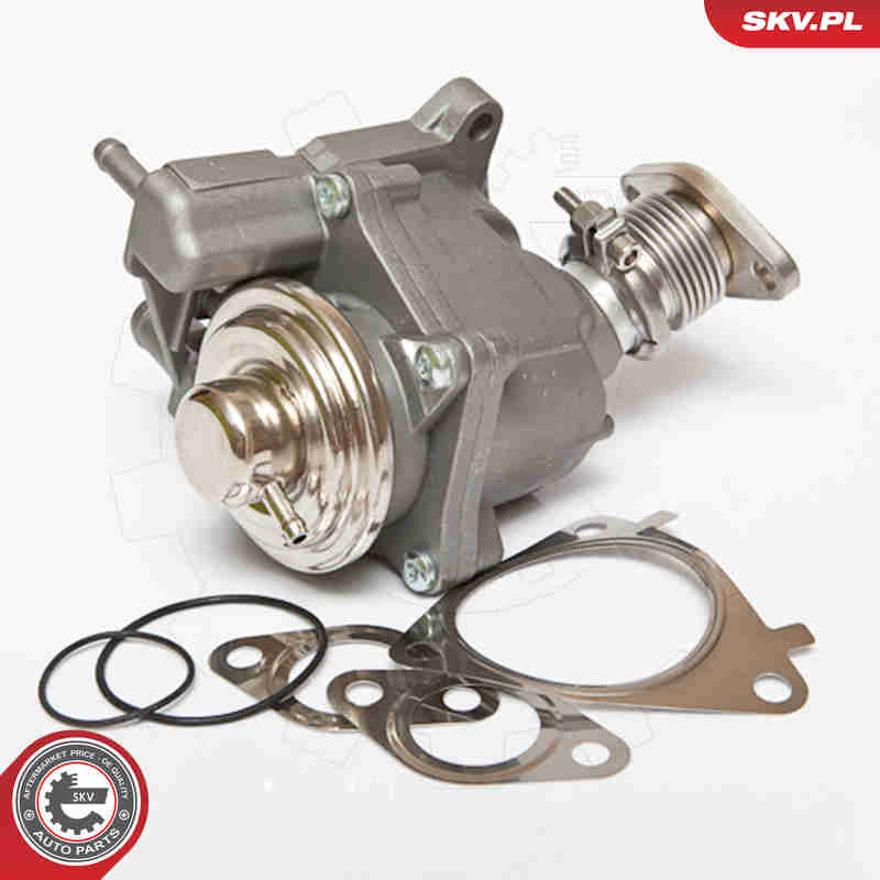 EGR Valve - 14SKV063 ESEN SKV