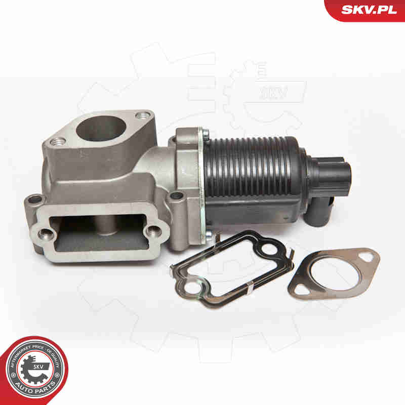Valvola ricircolo gas scarico-EGR - 14SKV064 ESEN SKV