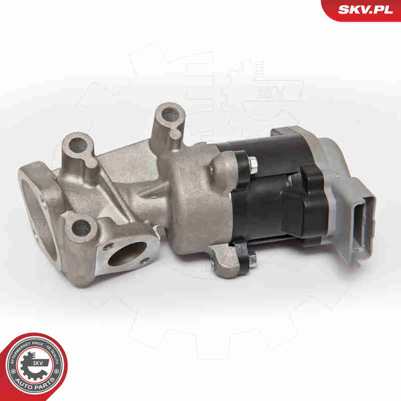 Valvola ricircolo gas scarico-EGR - 14SKV066 ESEN SKV