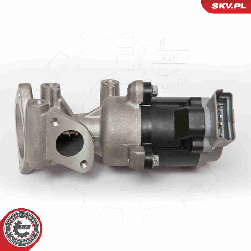 EGR Valve - 14SKV066 ESEN SKV