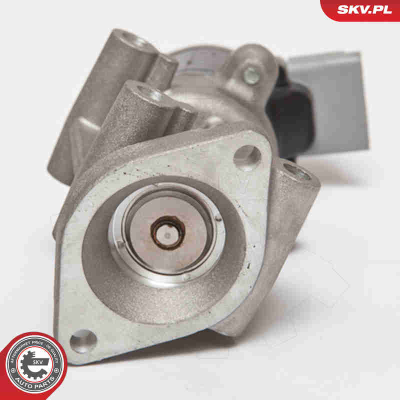 EGR Valve - 14SKV066 ESEN SKV
