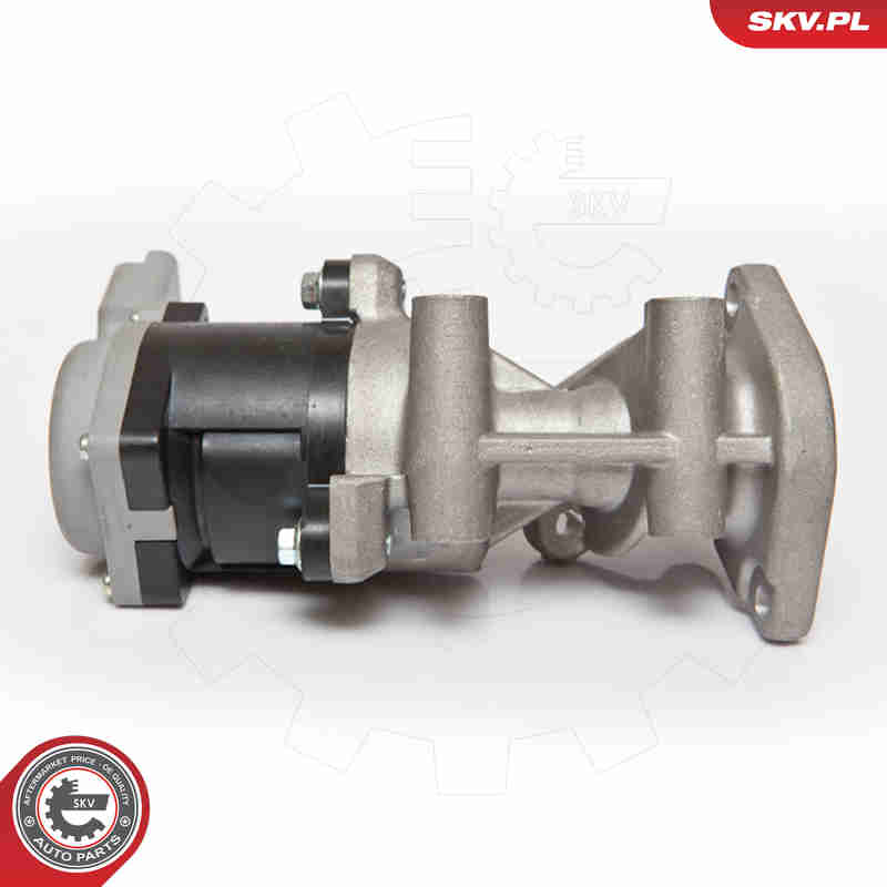 EGR Valve - 14SKV066 ESEN SKV