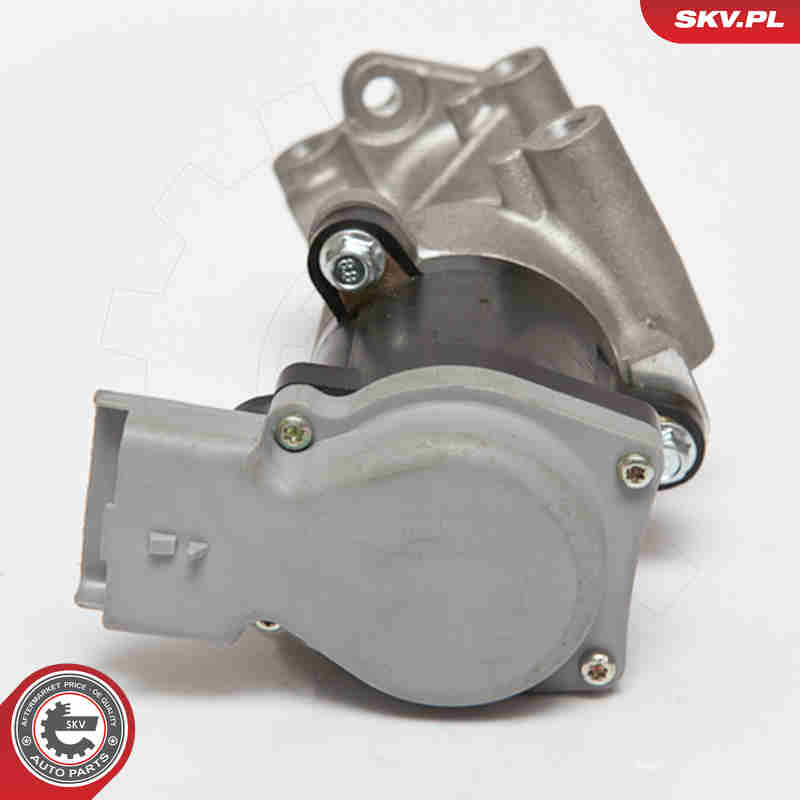 EGR Valve - 14SKV066 ESEN SKV