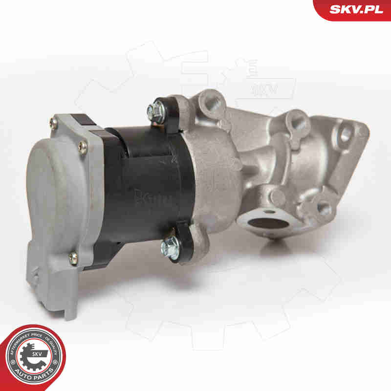 EGR Valve - 14SKV066 ESEN SKV