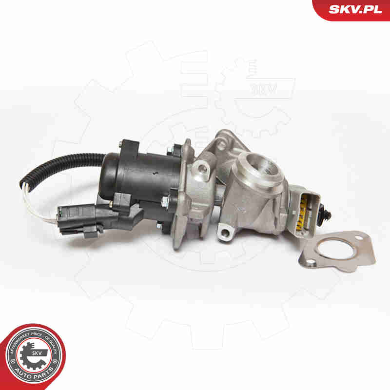 EGR Valve - 14SKV067 ESEN SKV