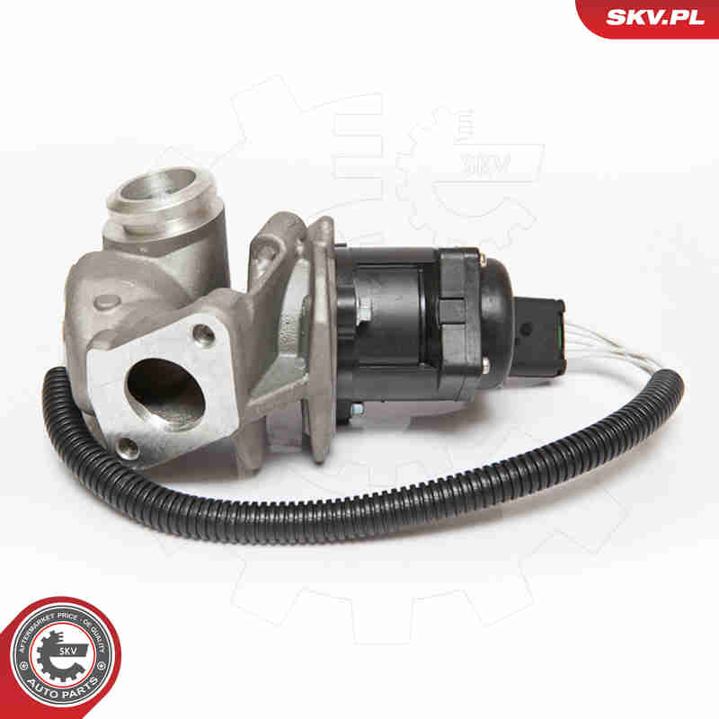 Valvola ricircolo gas scarico-EGR - 14SKV067 ESEN SKV