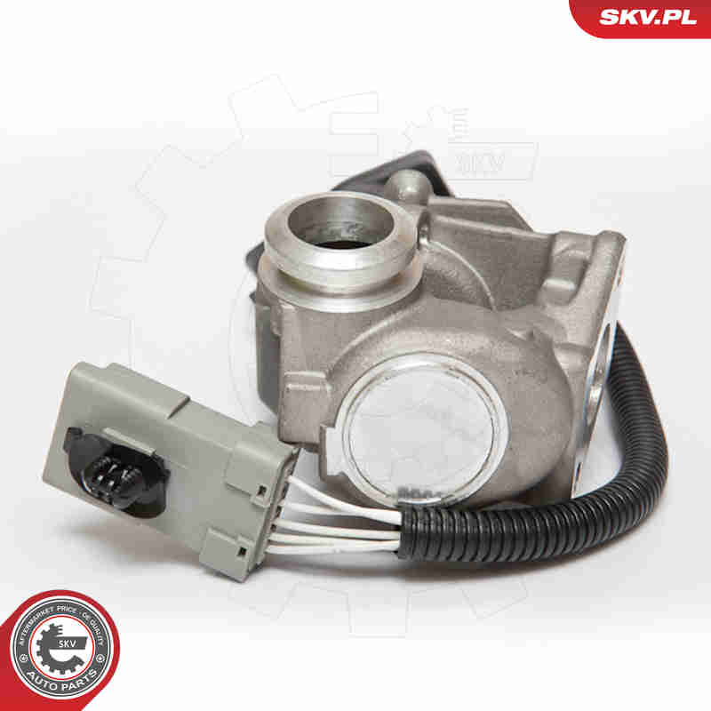 Valvola ricircolo gas scarico-EGR - 14SKV067 ESEN SKV