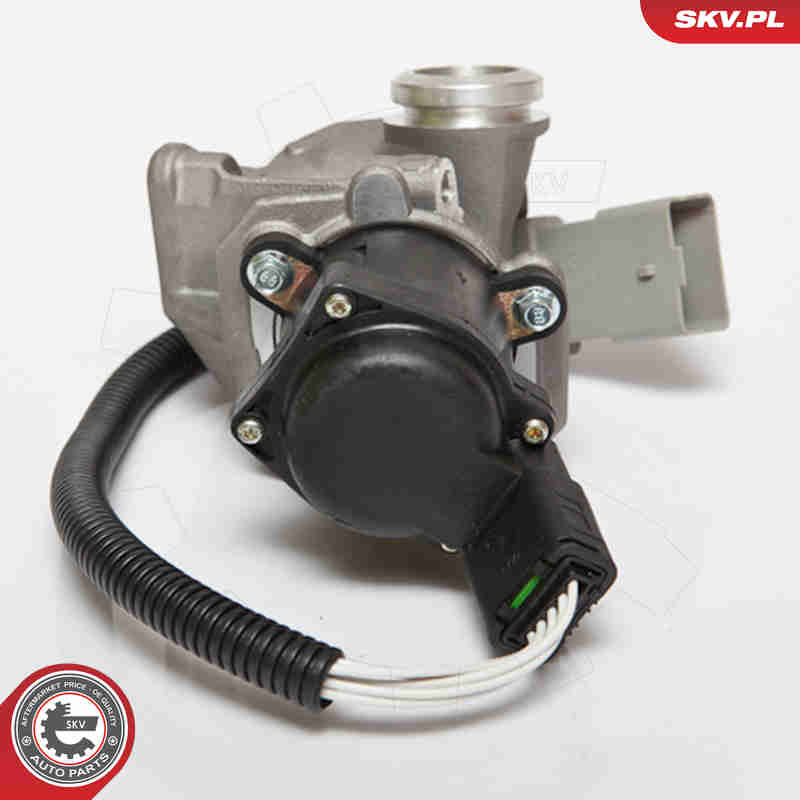 Valvola ricircolo gas scarico-EGR - 14SKV067 ESEN SKV