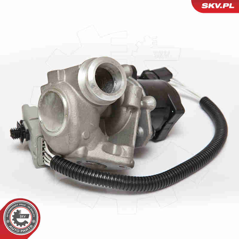 Valvola ricircolo gas scarico-EGR - 14SKV067 ESEN SKV
