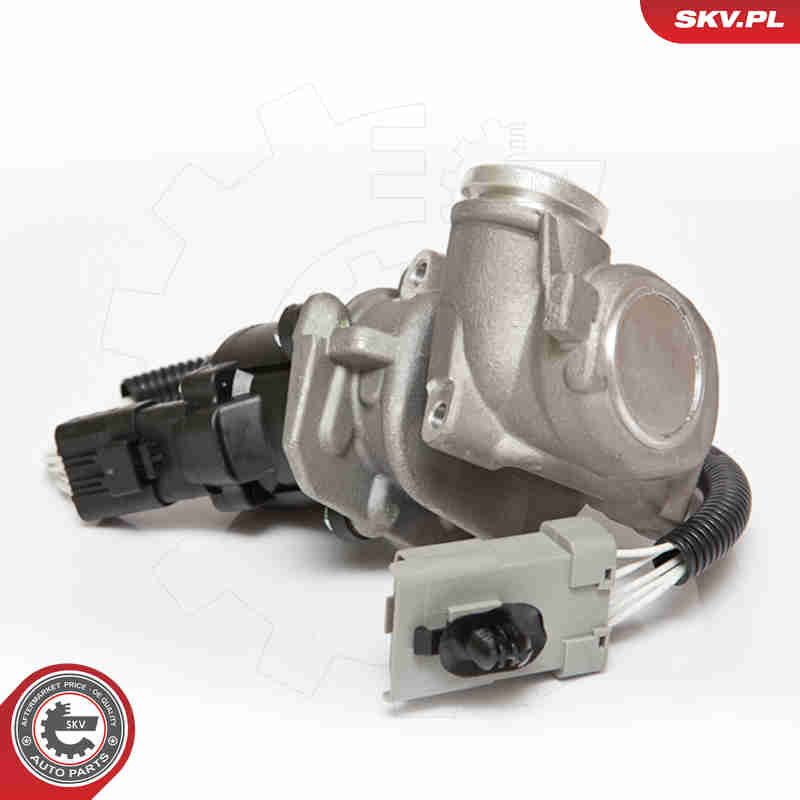 Valvola ricircolo gas scarico-EGR - 14SKV067 ESEN SKV