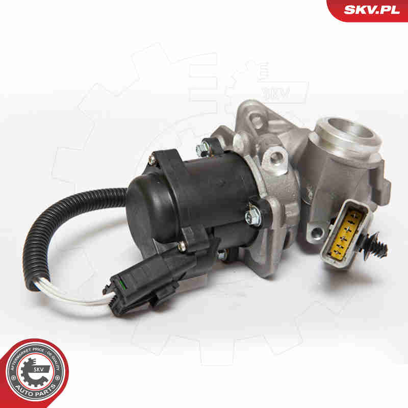 Valvola ricircolo gas scarico-EGR - 14SKV067 ESEN SKV