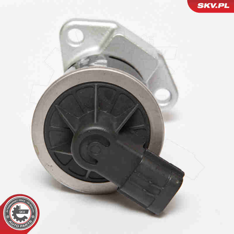 EGR Valve - 14SKV070 ESEN SKV