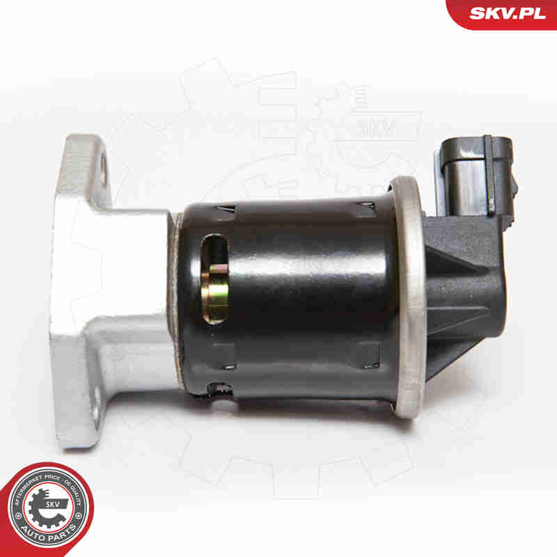 EGR Valve - 14SKV070 ESEN SKV