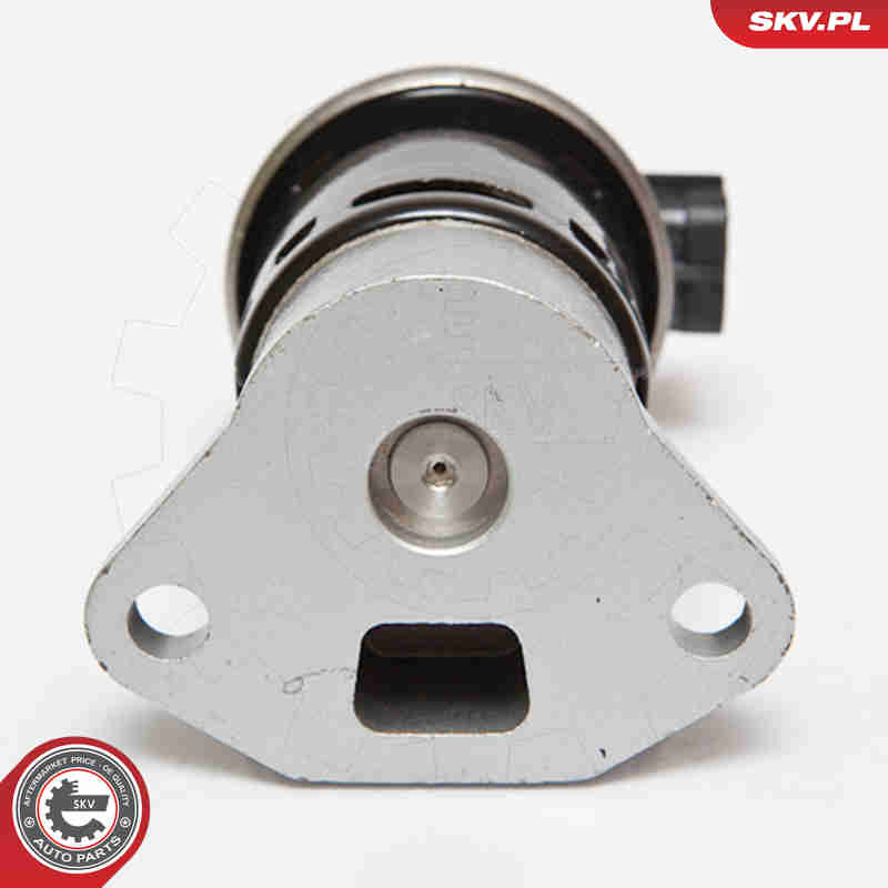 EGR Valve - 14SKV070 ESEN SKV