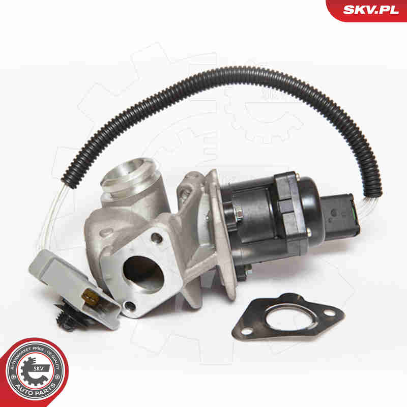 Valvola ricircolo gas scarico-EGR - 14SKV071 ESEN SKV