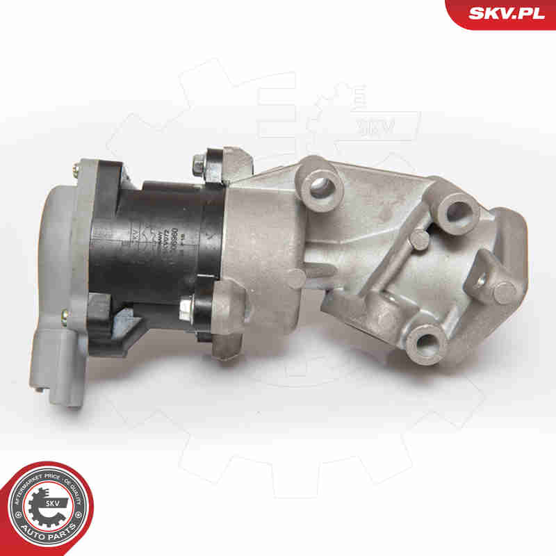 EGR Valve - 14SKV072 ESEN SKV