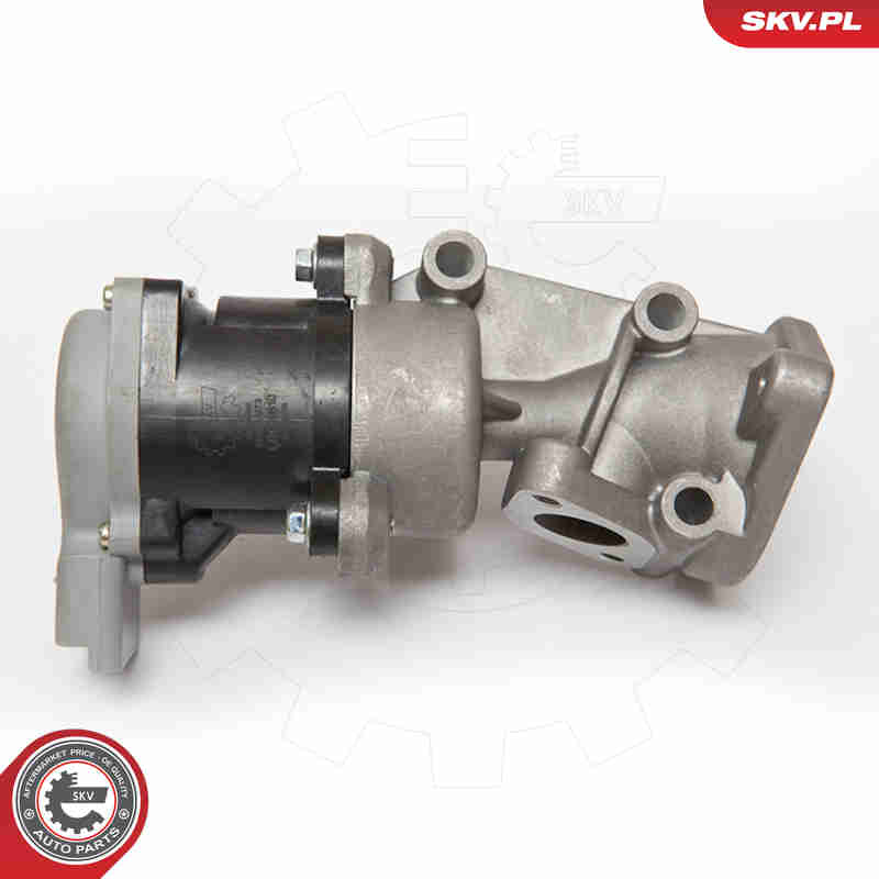 Valvola ricircolo gas scarico-EGR - 14SKV073 ESEN SKV