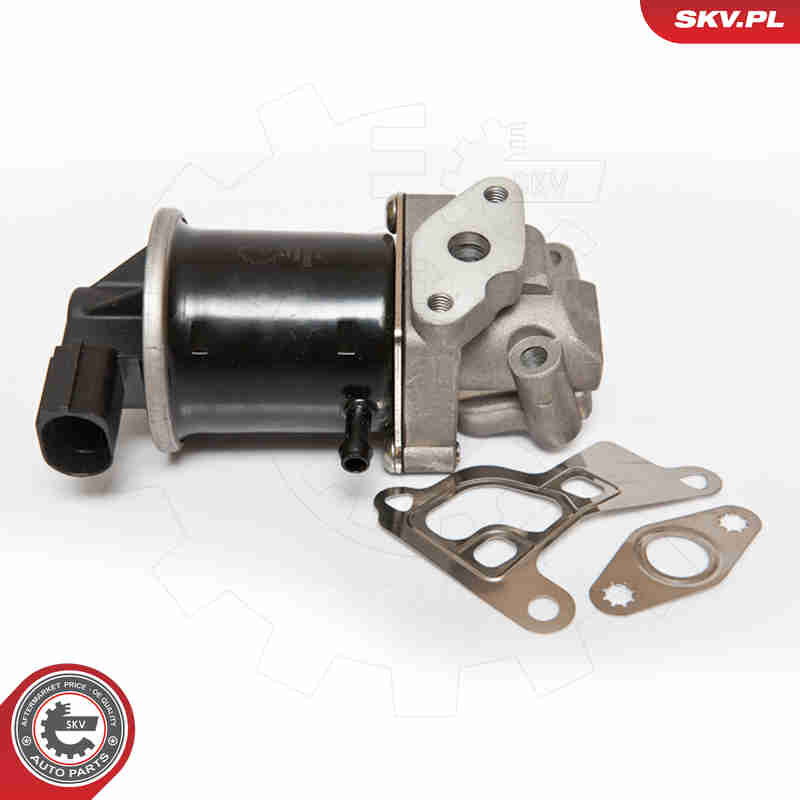 Valvola ricircolo gas scarico-EGR - 14SKV074 ESEN SKV