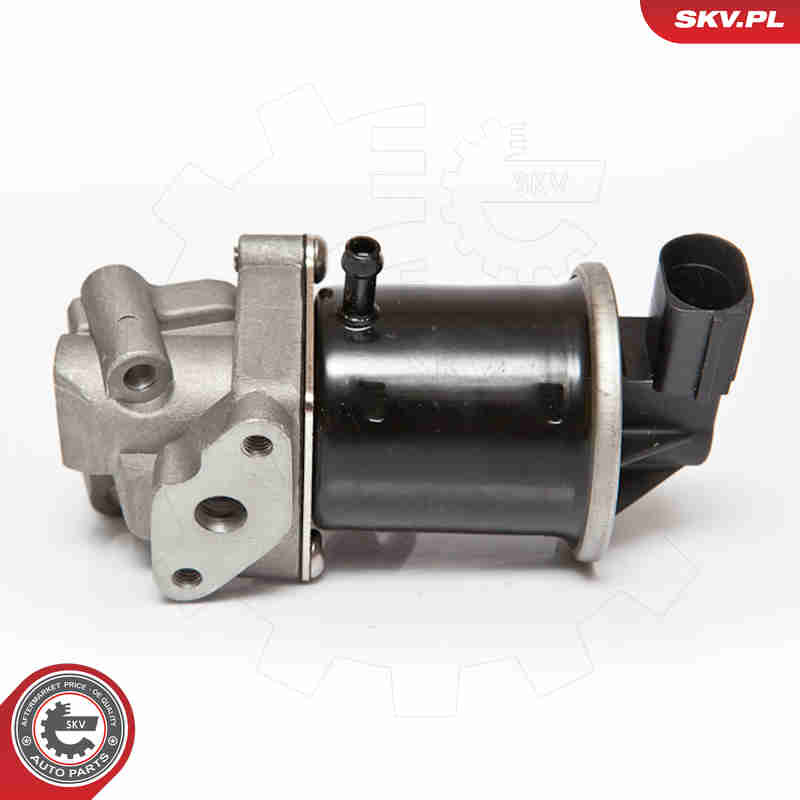 EGR Valve - 14SKV074 ESEN SKV