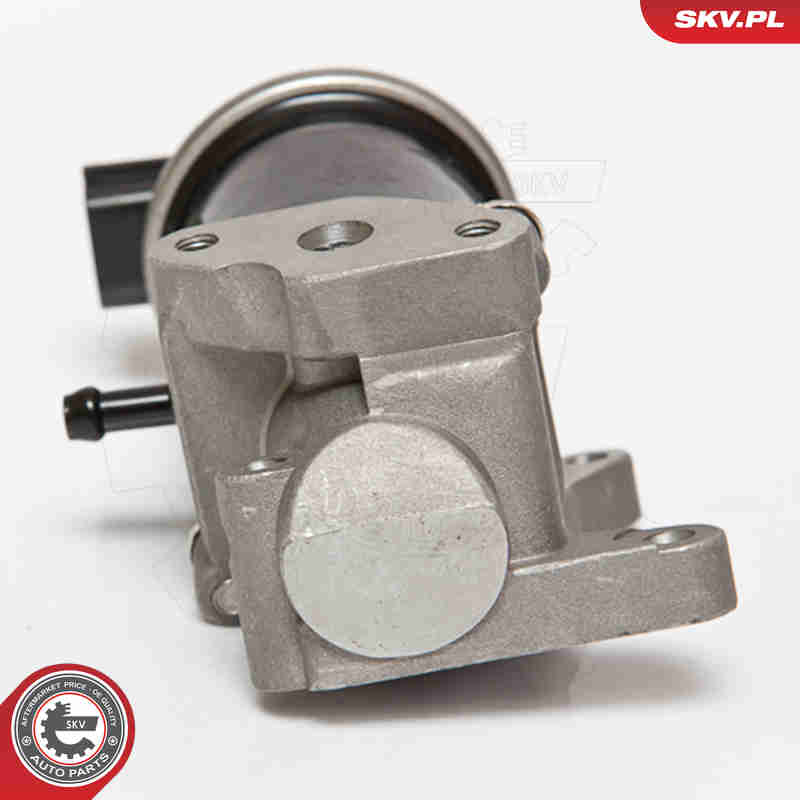 EGR Valve - 14SKV074 ESEN SKV