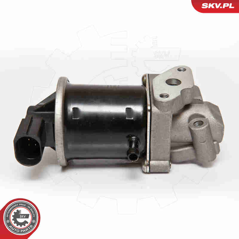 EGR Valve - 14SKV074 ESEN SKV