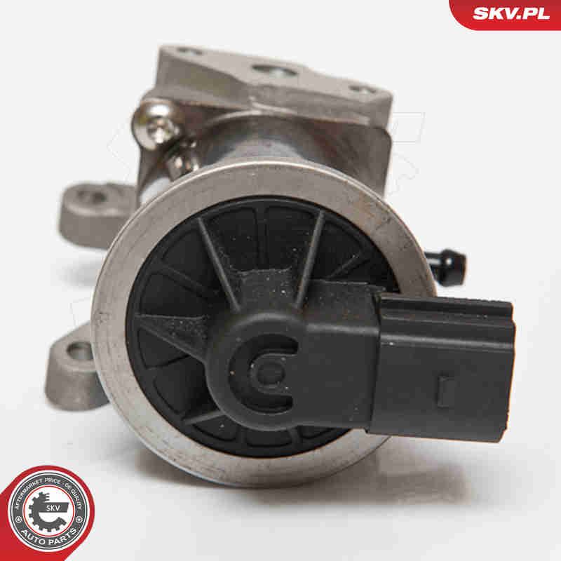 EGR Valve - 14SKV074 ESEN SKV