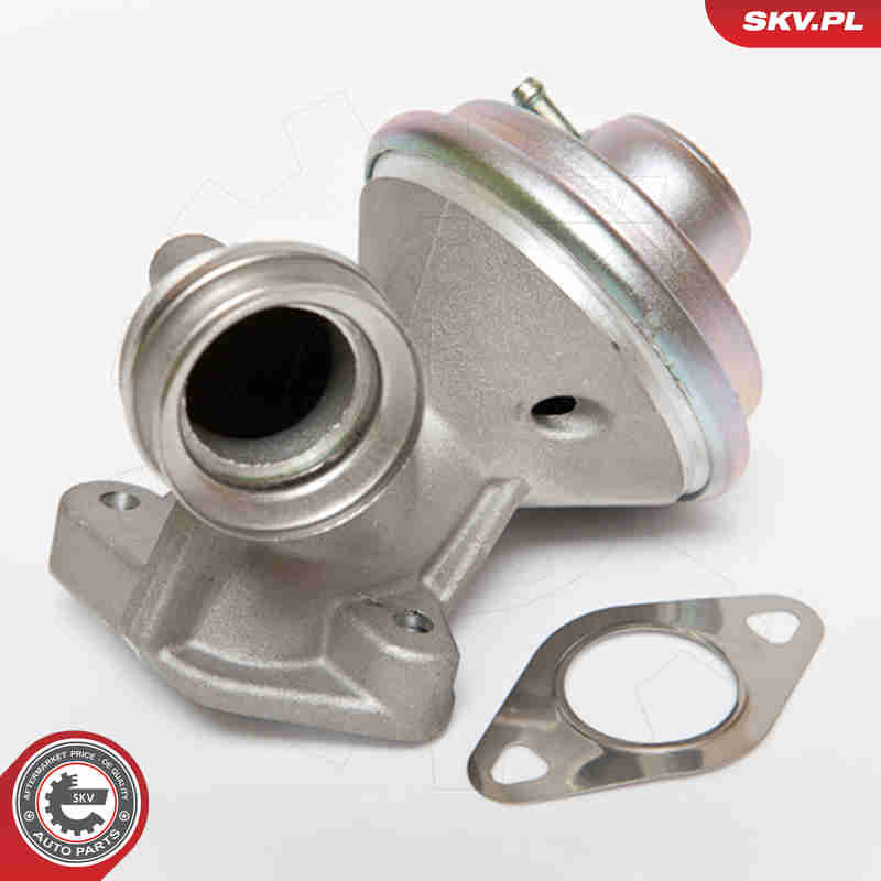 Valvola ricircolo gas scarico-EGR - 14SKV075 ESEN SKV