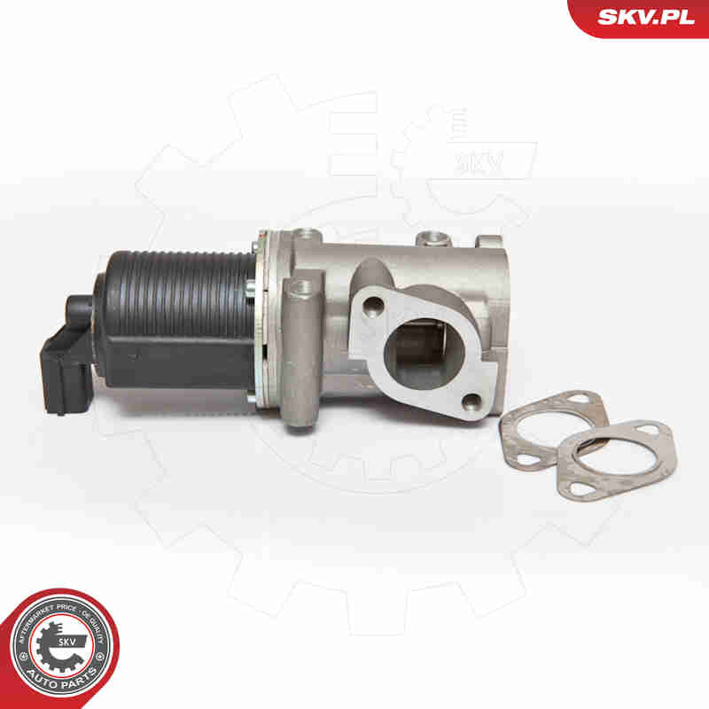 AGR-Ventil - 14SKV076 ESEN SKV