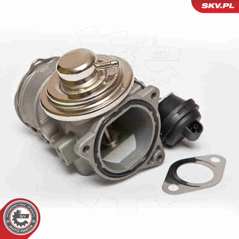 EGR Valve - 14SKV080 ESEN SKV