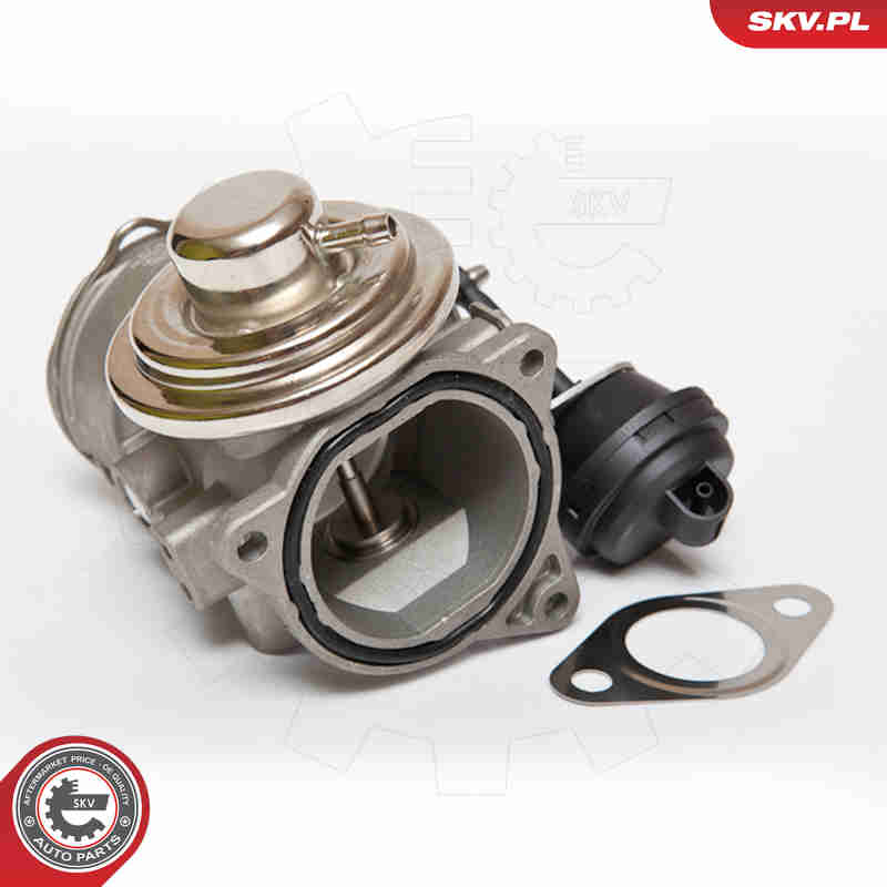 EGR Valve - 14SKV081 ESEN SKV