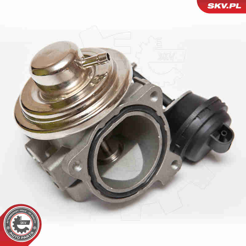 EGR Valve - 14SKV082 ESEN SKV