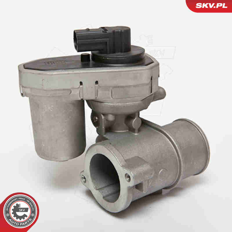 Valvola ricircolo gas scarico-EGR - 14SKV084 ESEN SKV