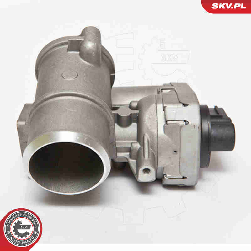 EGR Valve - 14SKV084 ESEN SKV