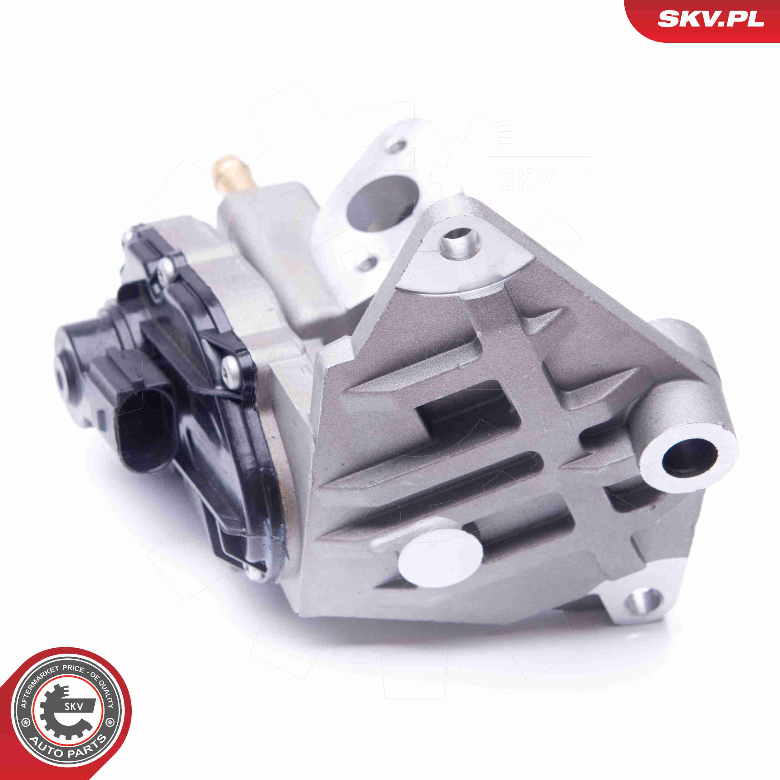 EGR Valve - 14SKV087 ESEN SKV