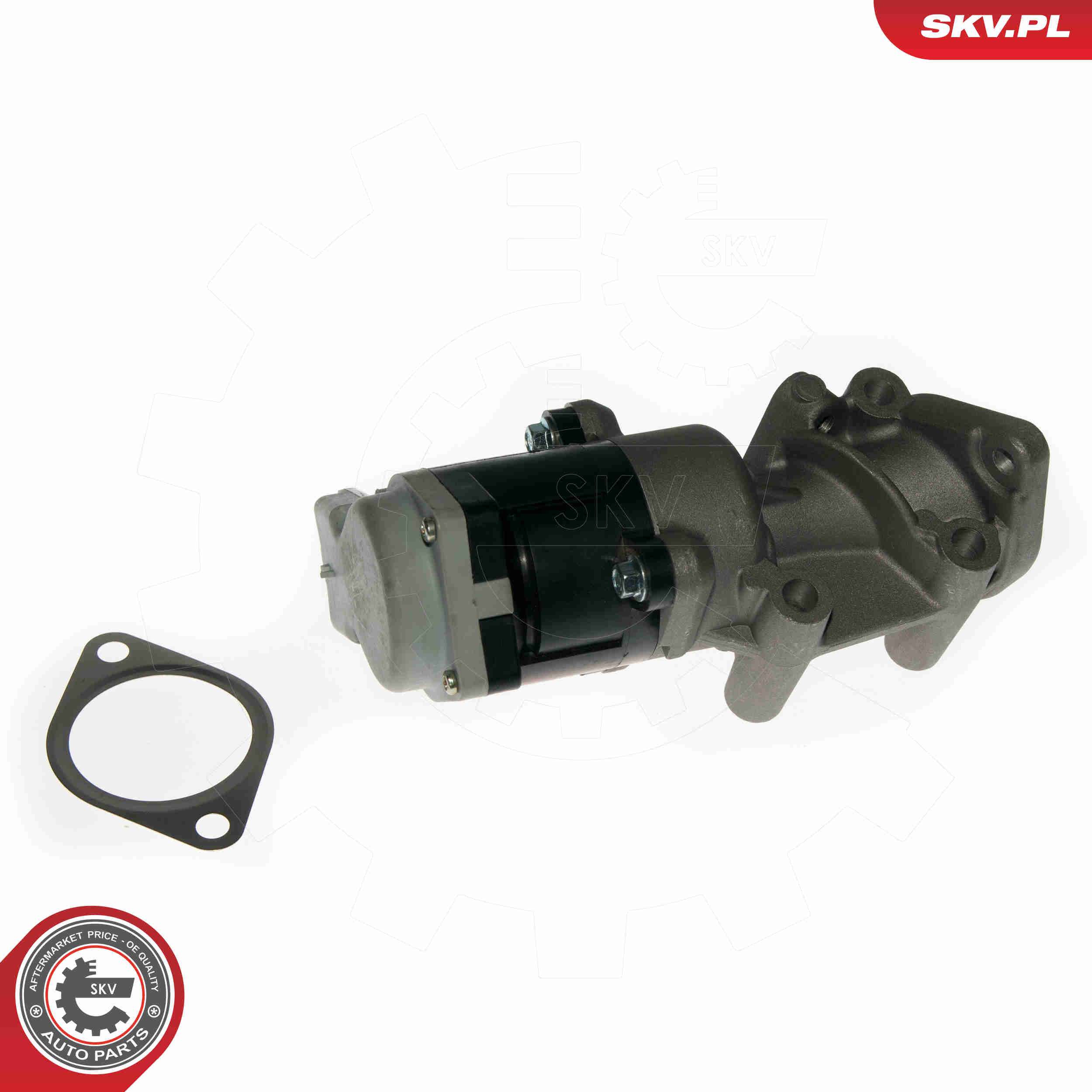 EGR Valve - 14SKV089 ESEN SKV