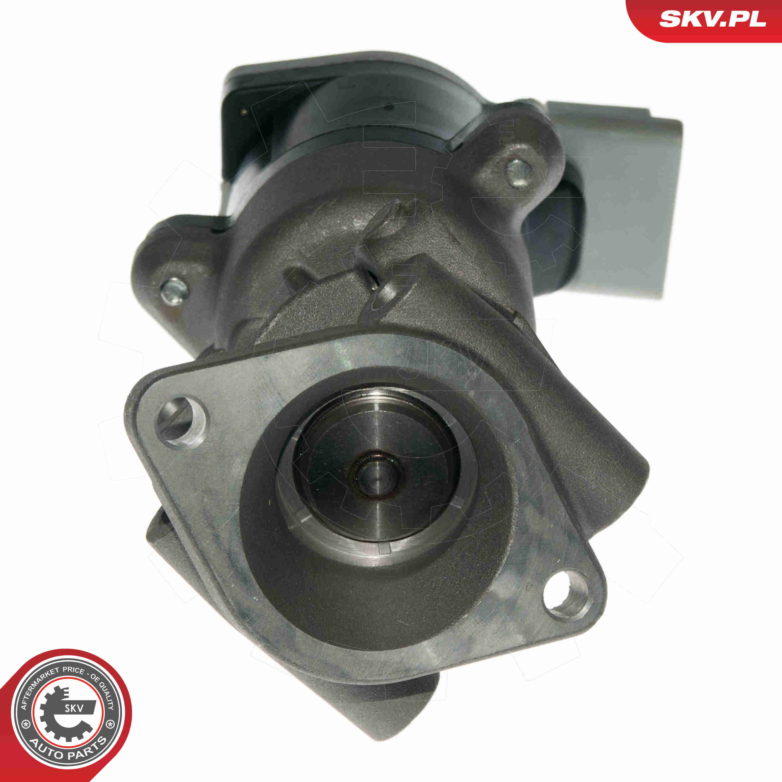 EGR Valve - 14SKV089 ESEN SKV