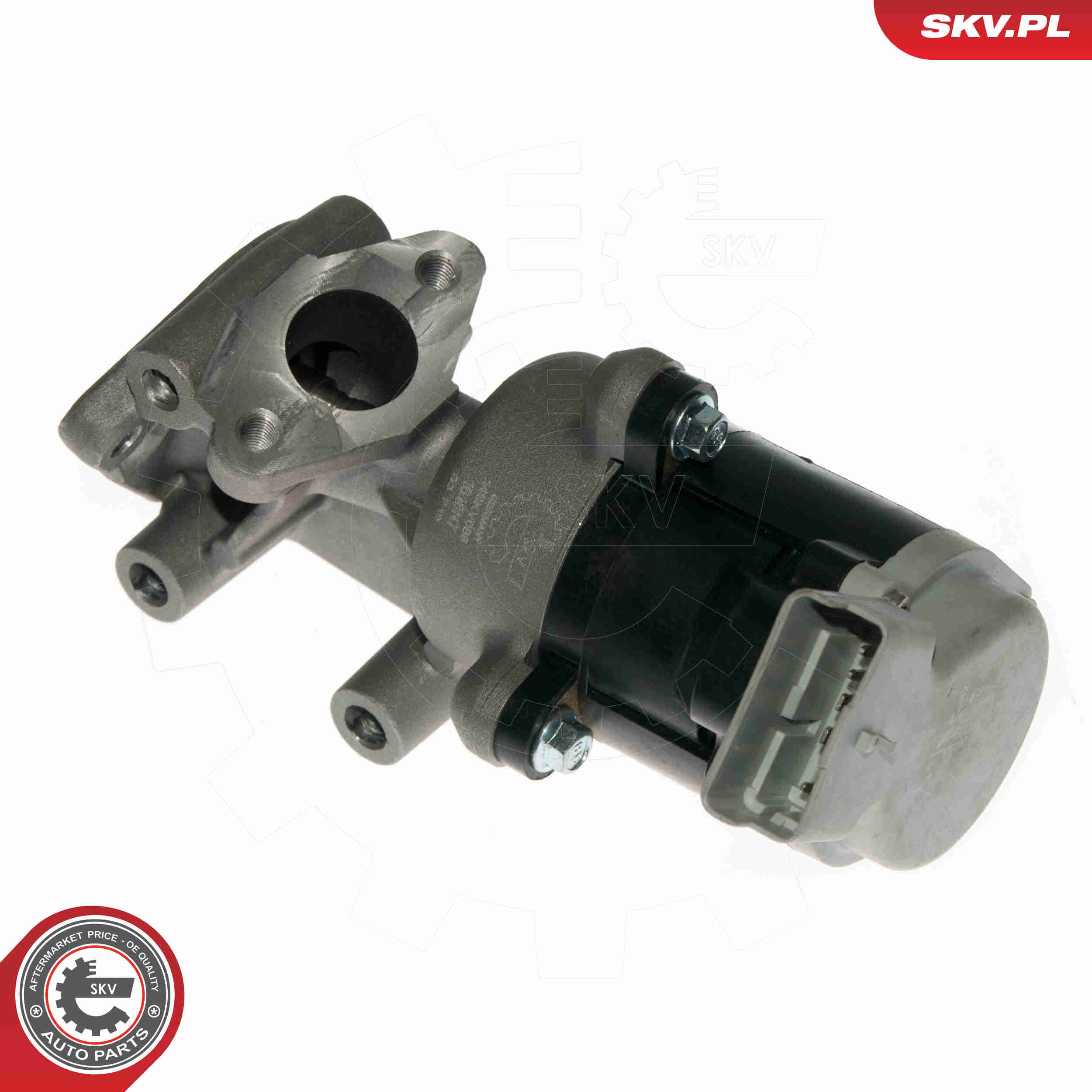 EGR Valve - 14SKV089 ESEN SKV