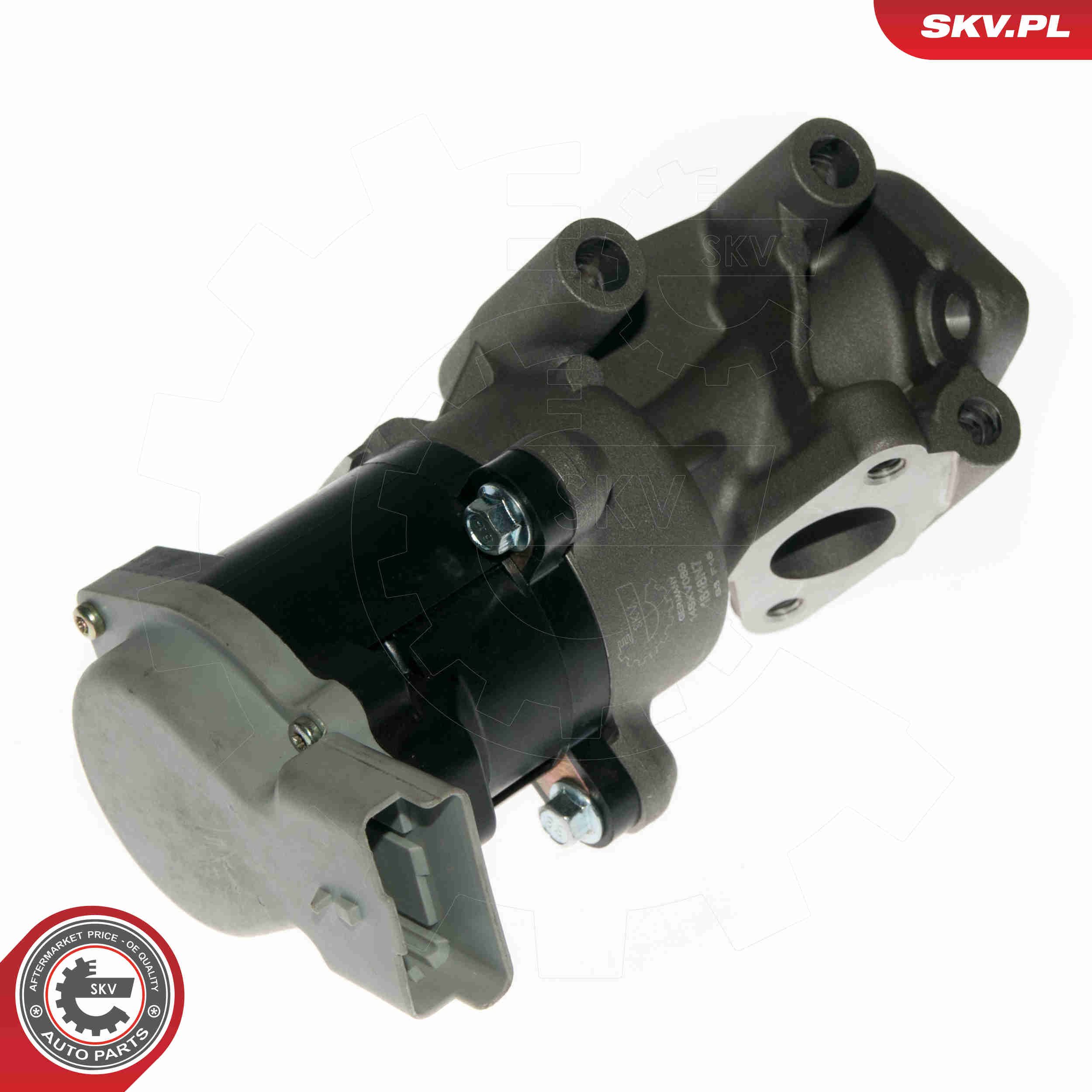 EGR Valve - 14SKV089 ESEN SKV
